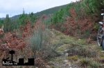 DSC_0029.JPG