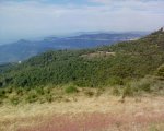 DSC00602.jpg