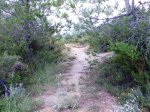 Imagen006as.jpg