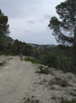 Tridente 040.jpg
