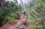 100_3837.jpg