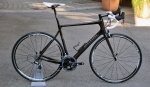 Rose-Xeon-Team-CGF.jpg
