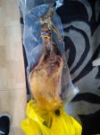 IMG-20140320-WA0009.jpg