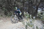 DSC_0125.JPG