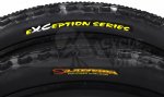 Pneu-Maxxis-monorail-eXc-silkworm-tech_1235x735.jpg