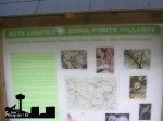 liñares.jpg