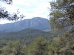 DSC05816.JPG
