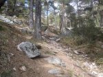 DSCN1963.JPG