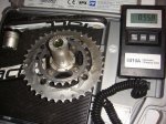 RDSC06580.jpg
