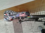 la foto 3.JPG