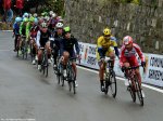 msr14_bunch.jpg