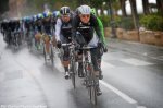 msr14_domestiques.jpg