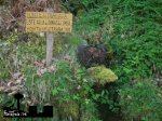 100_6362.JPG