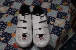 DSC00309.JPG