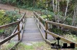 DSC_0718.JPG