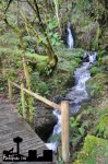 DSC_0737.JPG