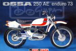 OSSA 250AE Enduro73.jpg