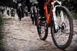 Pichinela 2013_02_24 11_31_16.jpg