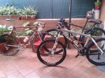IMG-20140325-WA0040.jpg