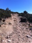 IMG_0783.JPG