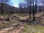 IMG_0794.JPG