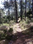 IMG_0802.JPG