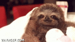 q6h.gif