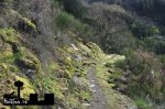DSC_0736.JPG