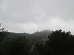 IMG_5017.JPG
