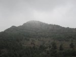 IMG_5018.JPG