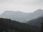 IMG_5029.JPG