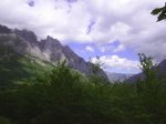 PIC_0014.JPG