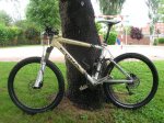 m_kona 001.jpg