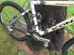 m_kona 014.jpg