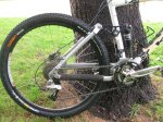 m_kona 012.jpg