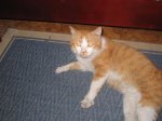 IMG_3628 (Medium).JPG