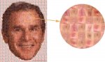 bush_mosaico_culos.jpgmid.jpg
