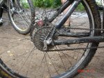 DSC01204 foro.jpg