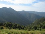 IMG_1759.jpg