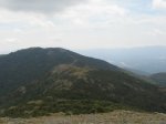 IMG_1778.jpg