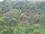 IMG_1781.jpg