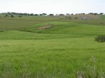 DSCN0171 (Medium).JPG