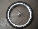 DSC09851.JPG