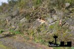 DSC_0748.JPG