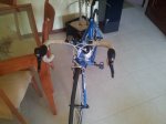 20140321_150444.jpg