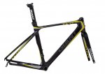 TCR_Advanced_FF_black.jpg
