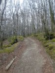 20140402_154049.jpg