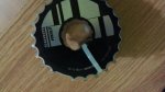 IMG-20140320-WA0010.jpg