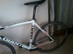 fototcx7.jpg