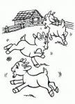 imagesIN62SNB9.jpg